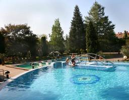 Außenbecken im Ensana Health Spa Resort Sarvar