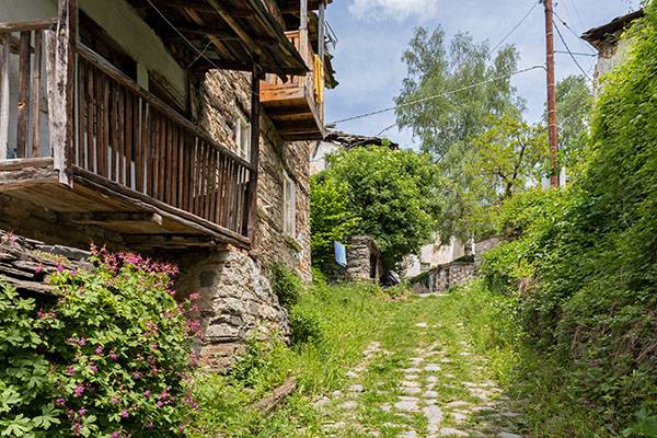 Kur in Medovets